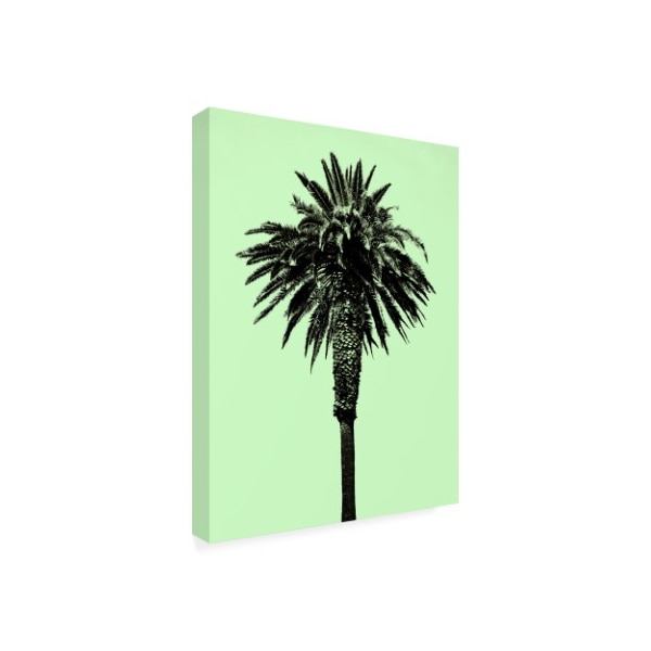 Erik Asla 'Palm Tree 1996 (Green)' Canvas Art,18x24